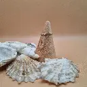 20250524_170250.webp
