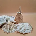 20250524_170740.webp