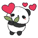 Panda 2.webp