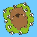 Wombat gras.webp