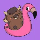Koe flamingo.webp