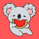 Koala watermeloen.webp