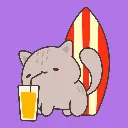 Poes surfplank.webp