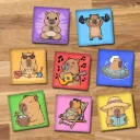 Capibara (8 varianten)