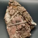 Oorstekers staafjes met gehamerde streepjes