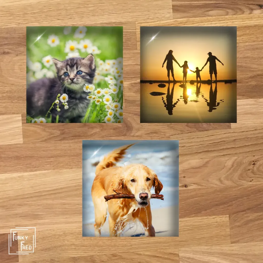3 fotomagneten