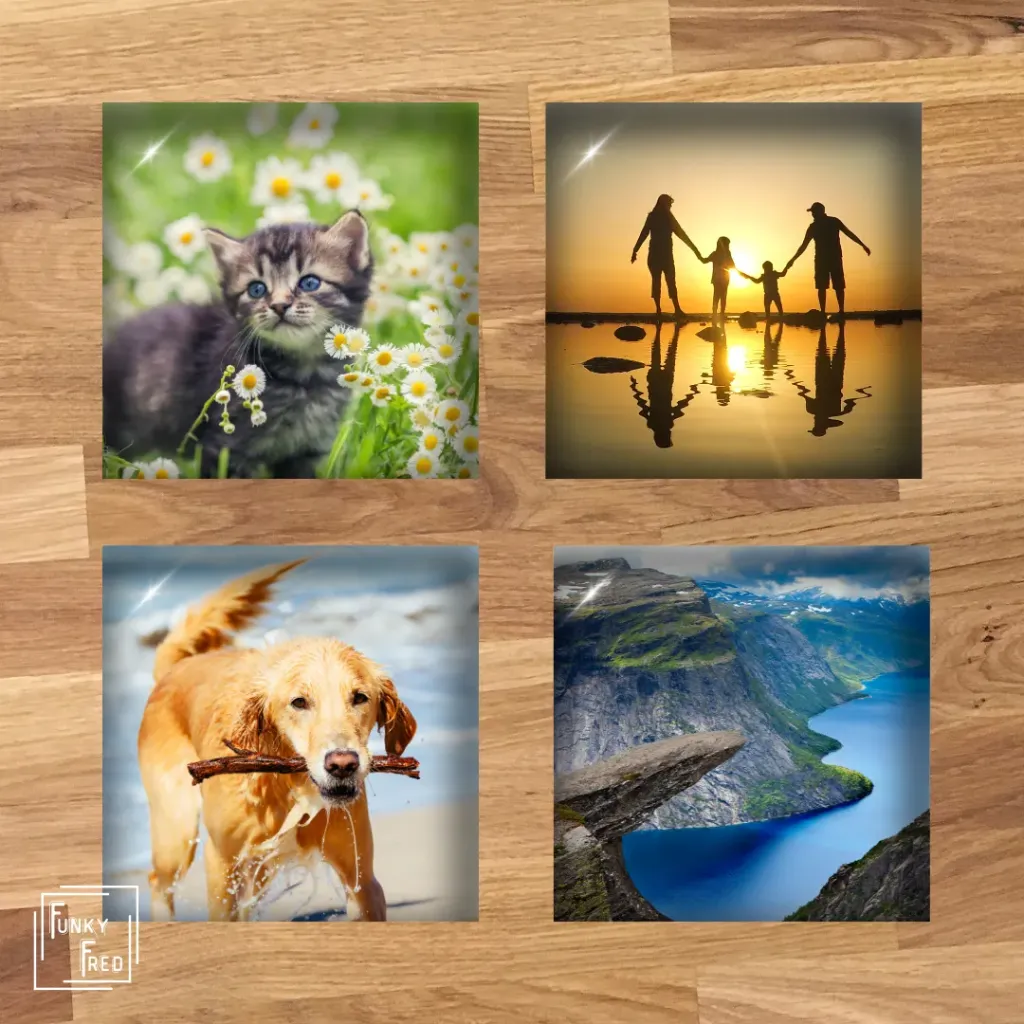 4 fotomagneten