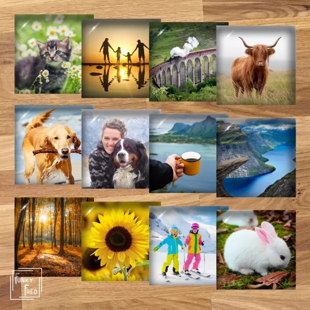 12 fotomagneten