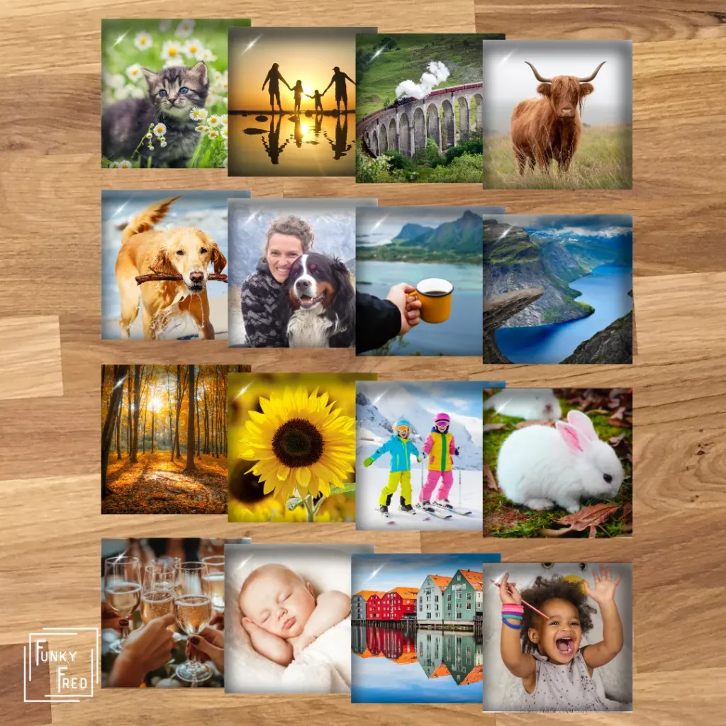 16 fotomagneten