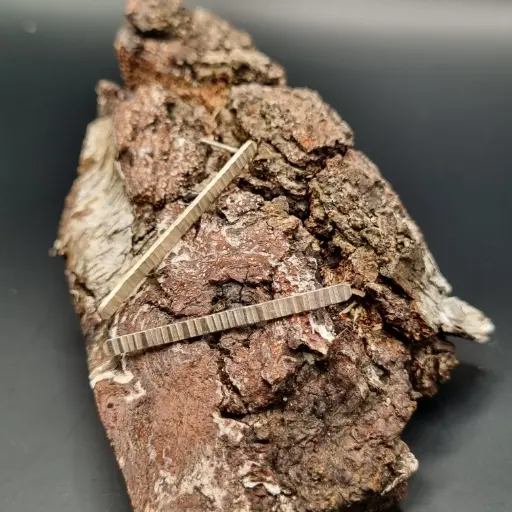 Oorstekers staafjes met gehamerde streepjes