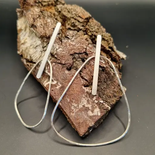 Grote asymmetrische oorstekers